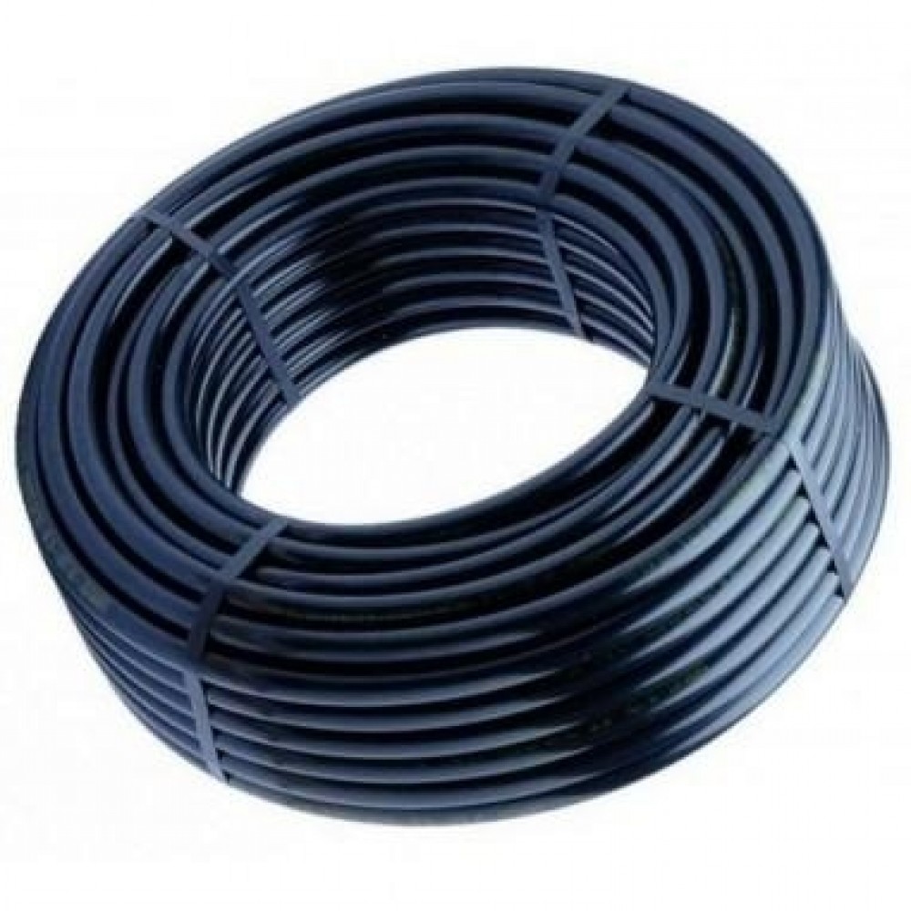 rollo-01860